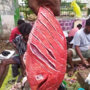 Tomato Grill Fish