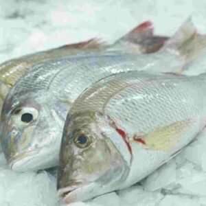 Vilai meen (Emperor Fish)