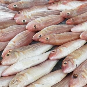Sankara (Red Snapper)