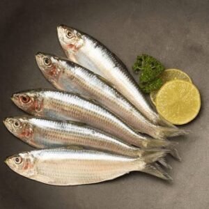 Maththi (Sardine Fish)