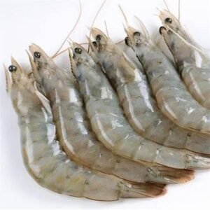 White Culture Prawn