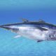 images - 2023-06-22T214804.651